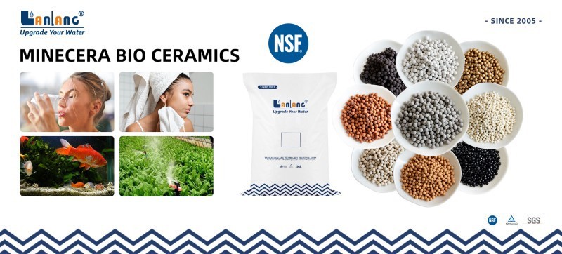 bio ceramic bio ceramic