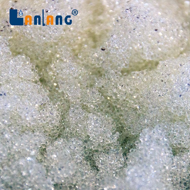 Ion Exchange Resin for Food Processing Industry